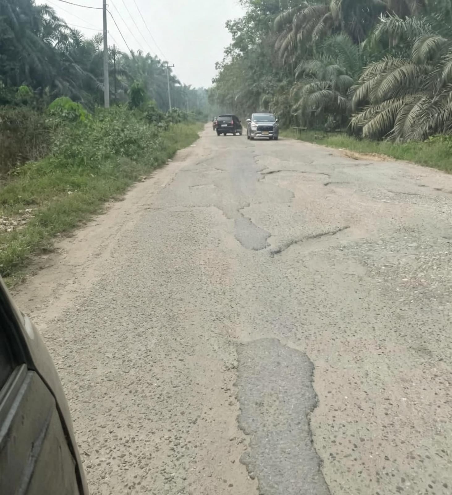🛣️ Jalan Lintas Penghubung Rokan Hulu–Rokan Hilir Rusak Parah Sepanjang 30 Km, Warga Sesalkan Ketidakpedulian Anggota DPRD Rohul